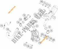 EXHAUST for KTM 125 DUKE ORANGE 2018