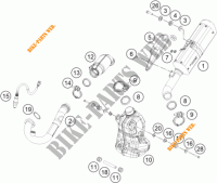 EXHAUST for KTM 125 DUKE ORANGE 2017